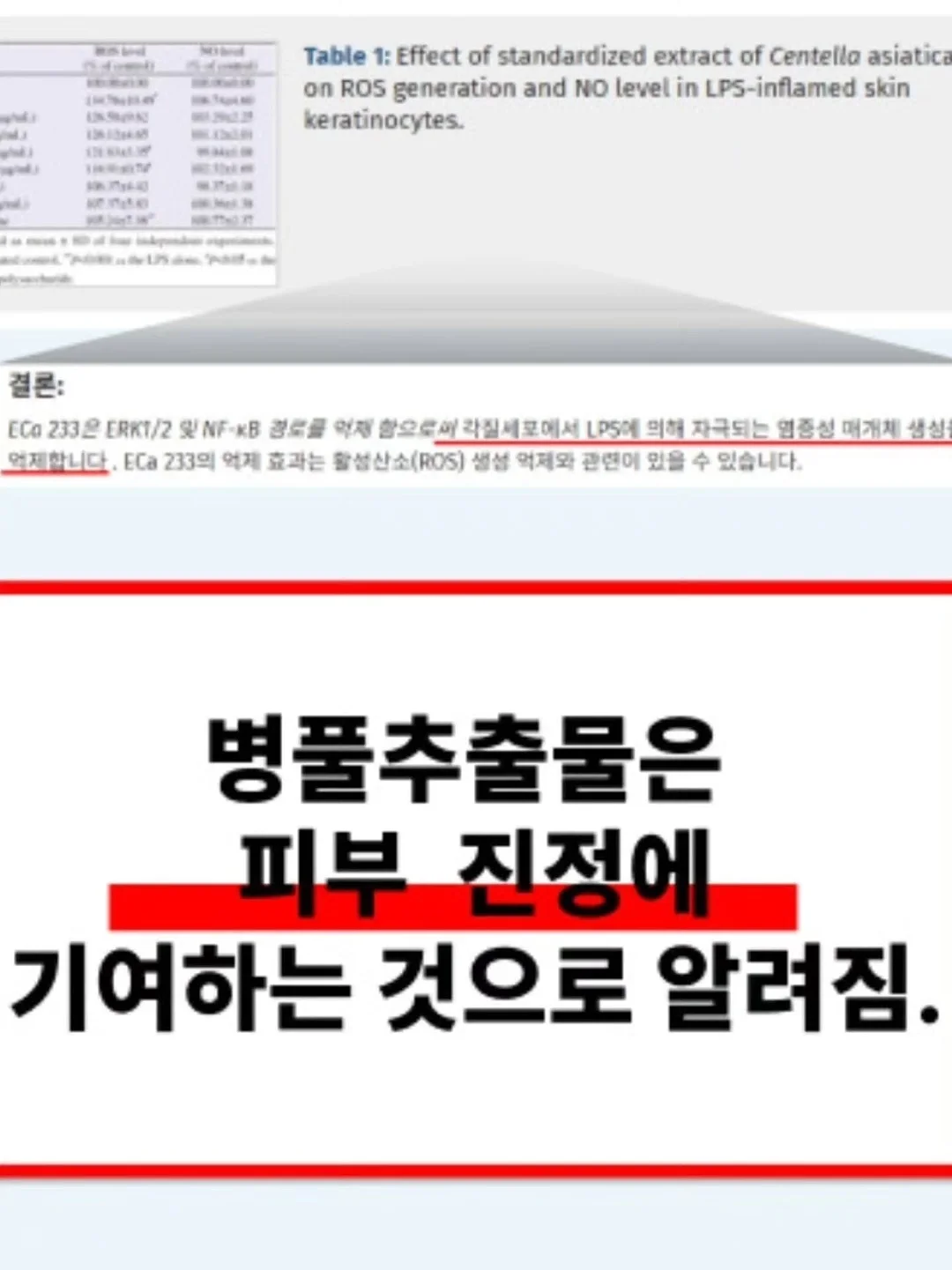 오리다리 족발 14