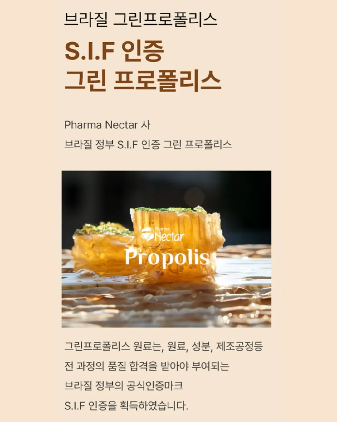 차정원 가방 7