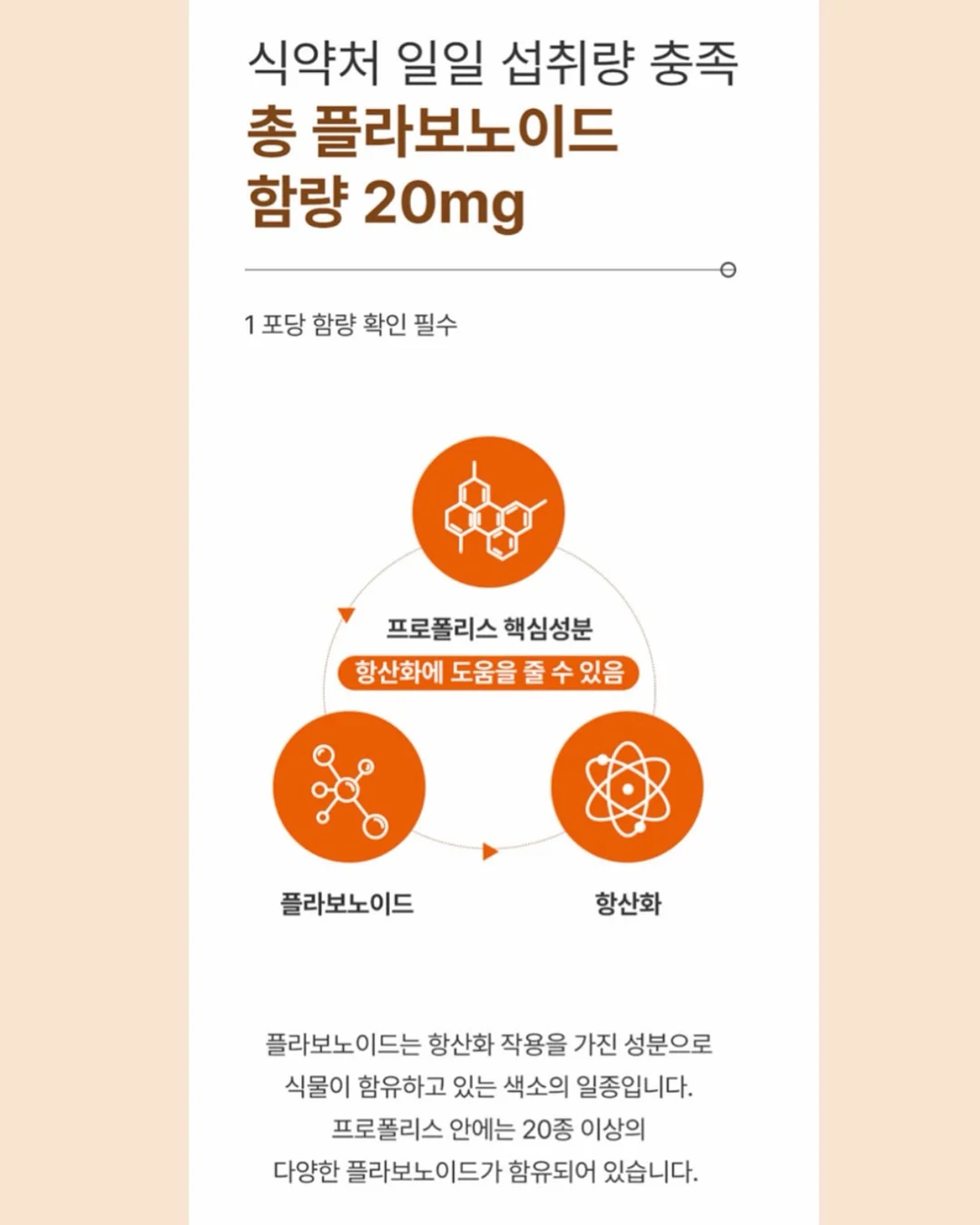 차정원 가방 8