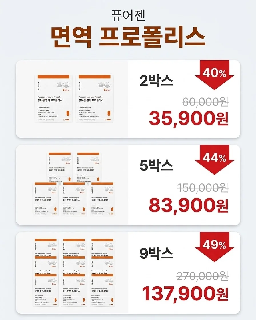 차정원 가방 9