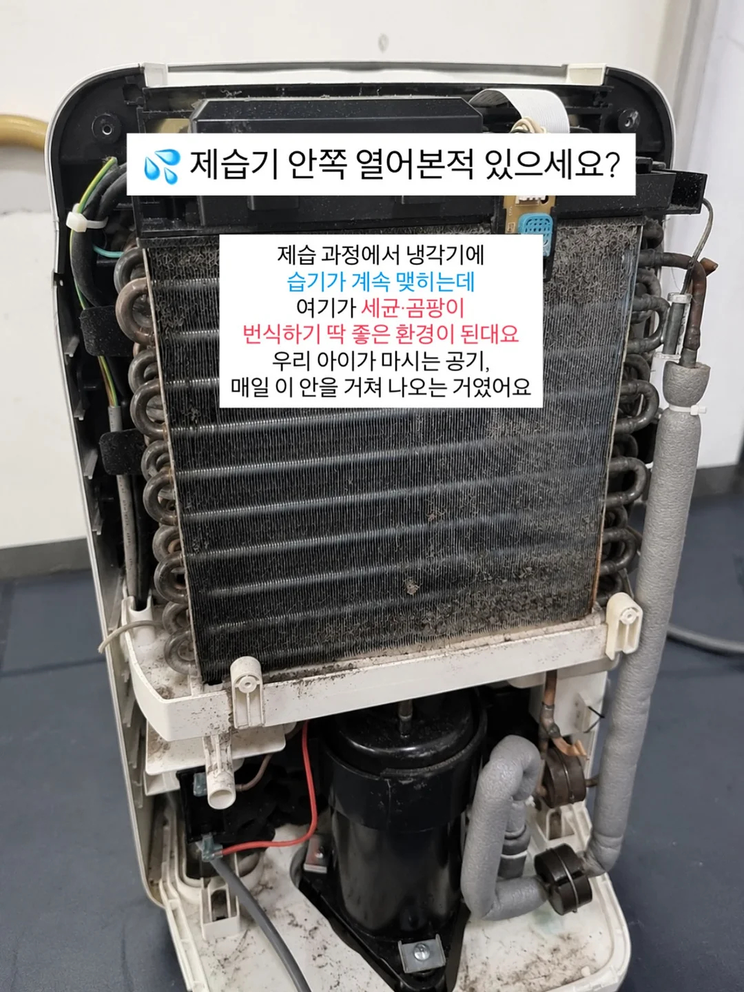전국민 매너템 3