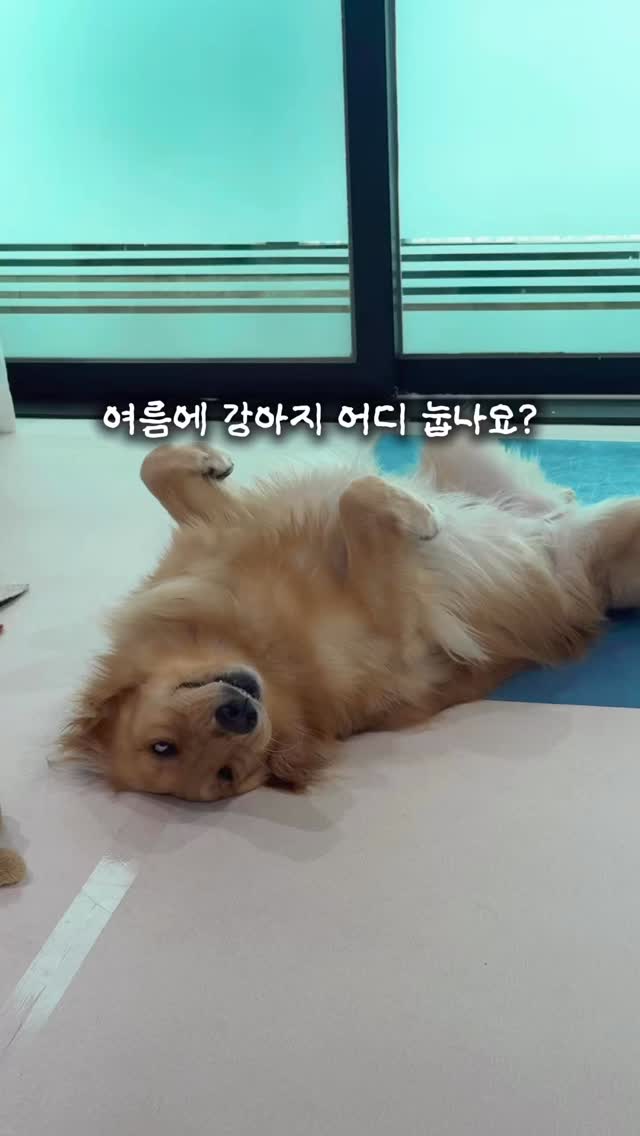 할매 보아 조끼 여름버전