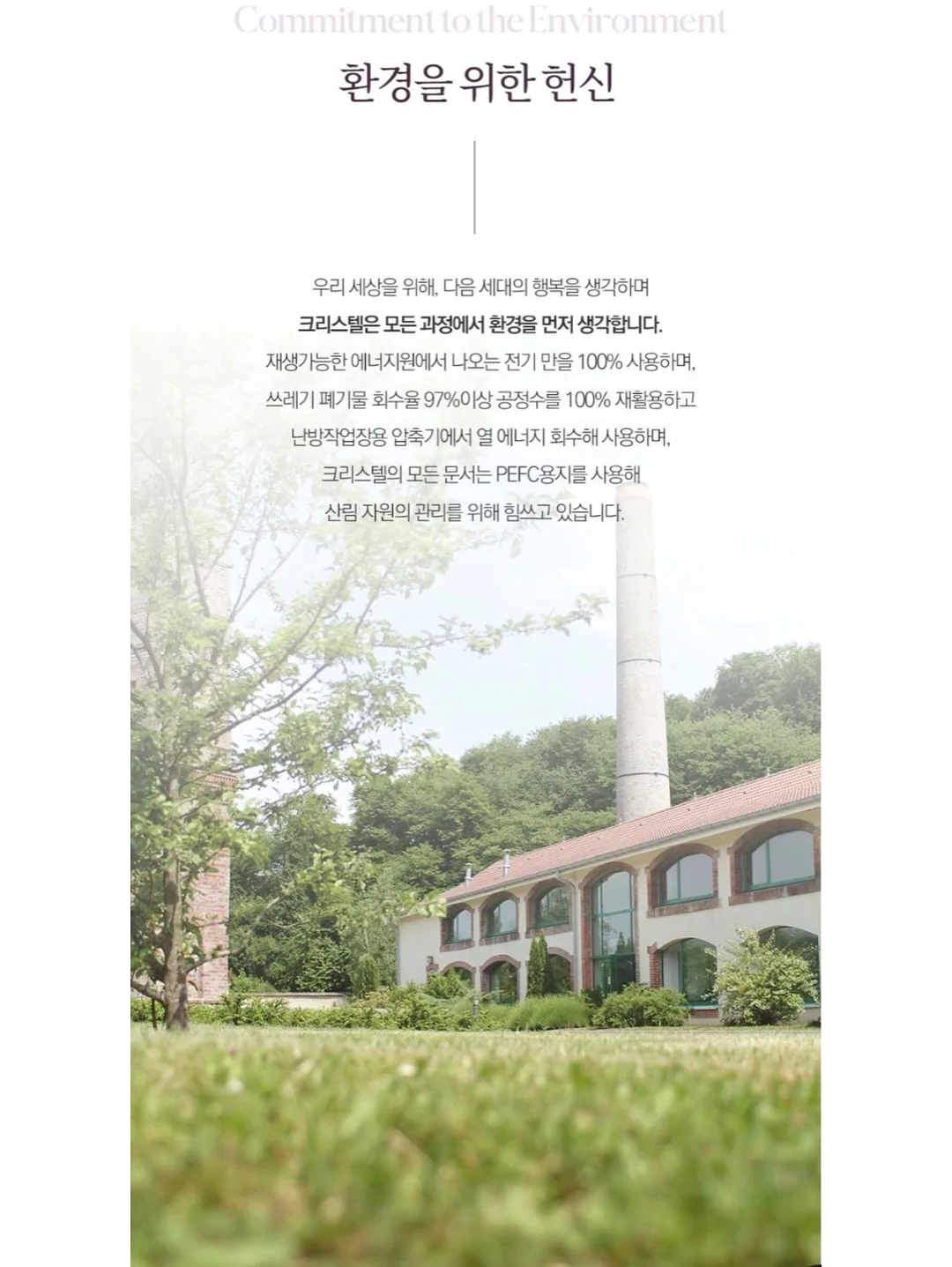 나의 완벽한 장례식 17