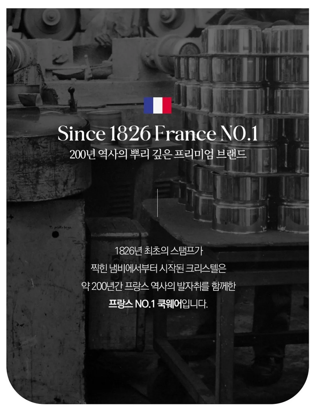 나의 완벽한 장례식 18