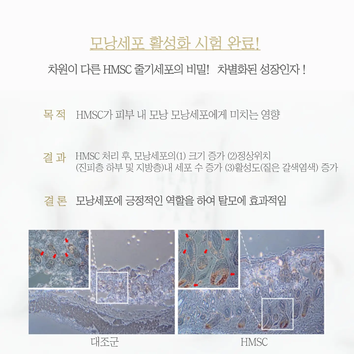쿨심리스나시set 9