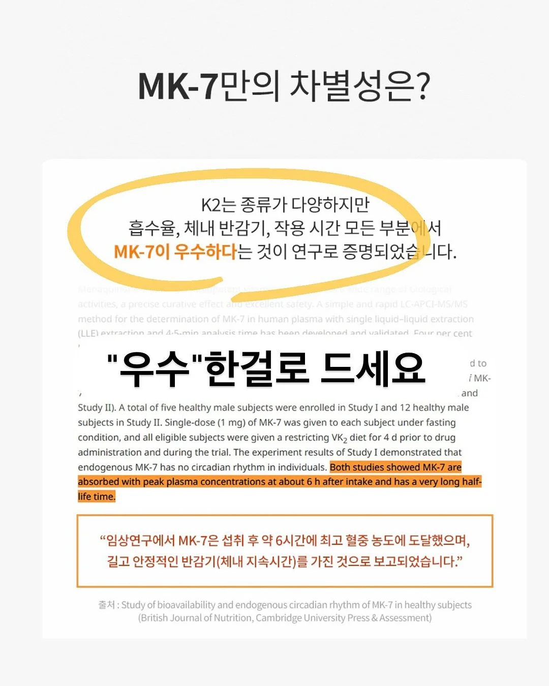 여름조각집 5