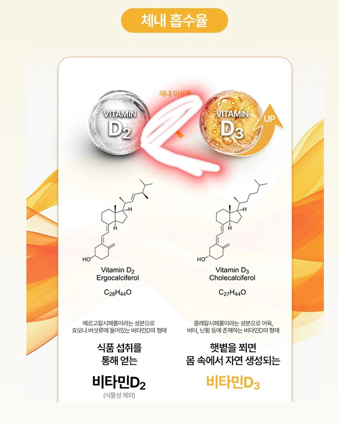 여름조각집 8