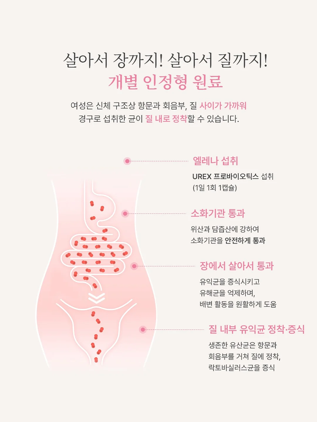 핀일로 듀얼피크팬 7