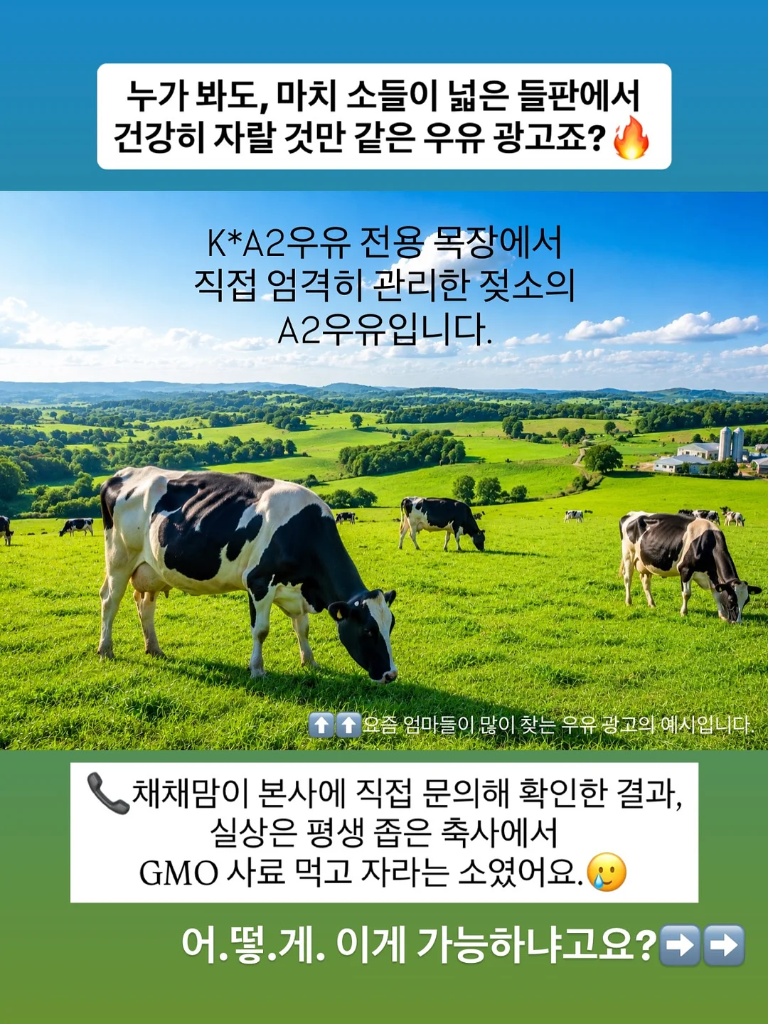 가죽 소파 세트 코코아브라운 3
