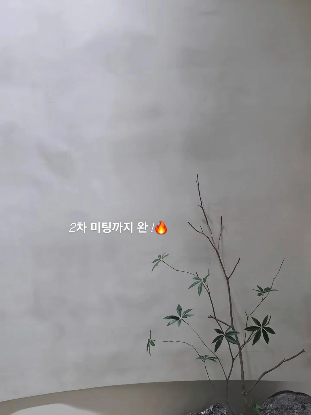 코팅풍선다발 3