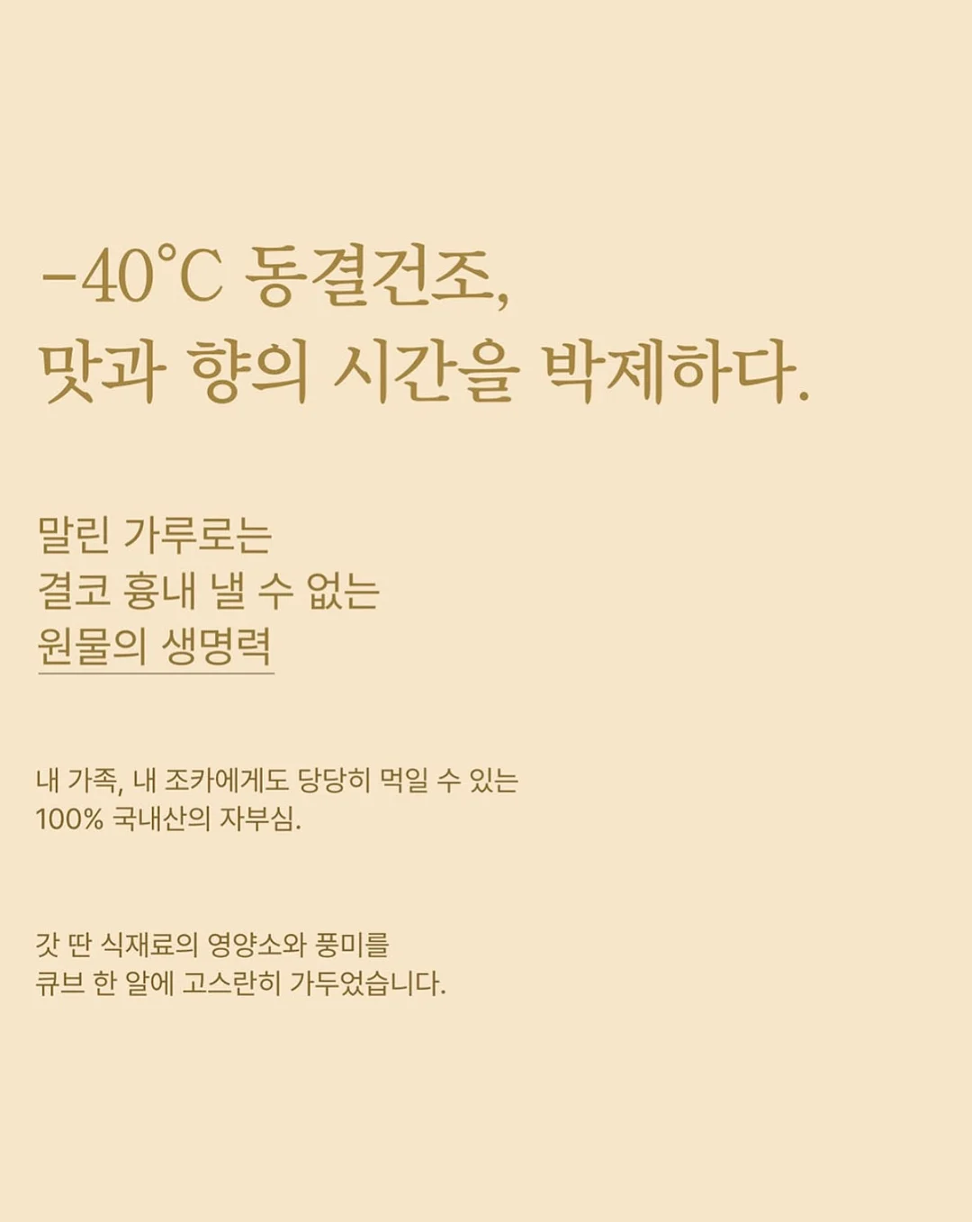 닥터 서동원 베개 2