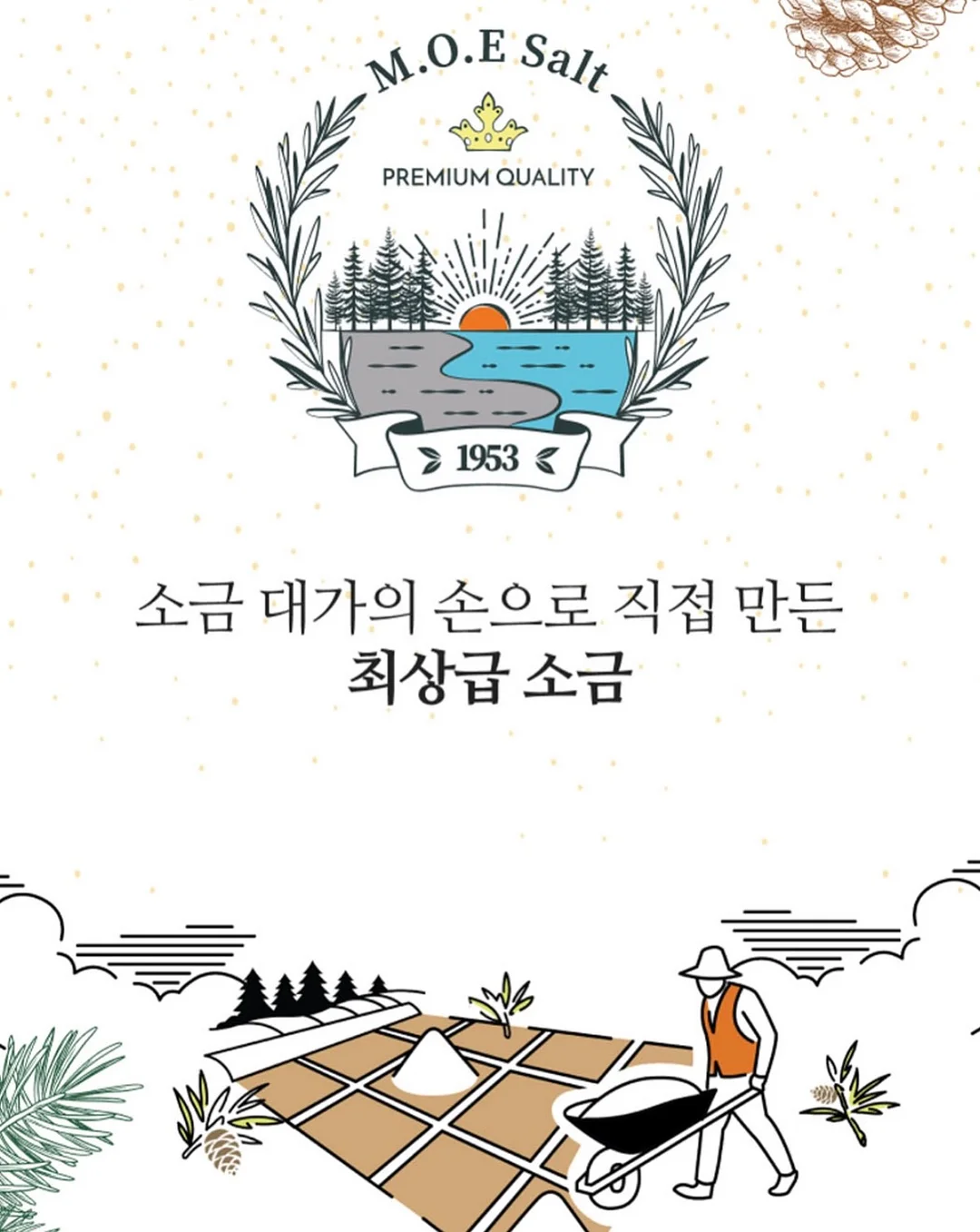 닥터 서동원 베개 6