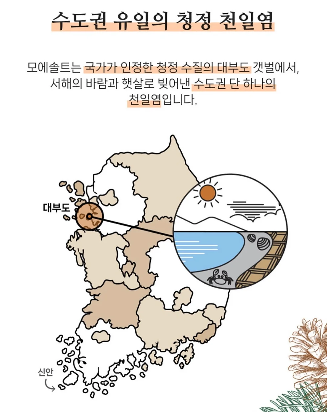 닥터 서동원 베개 9