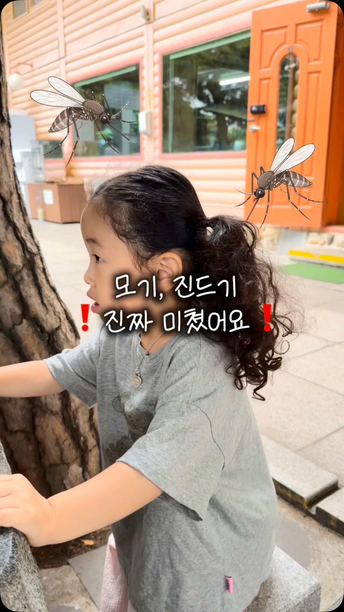 가율 국내산 호박고구마 약과세트