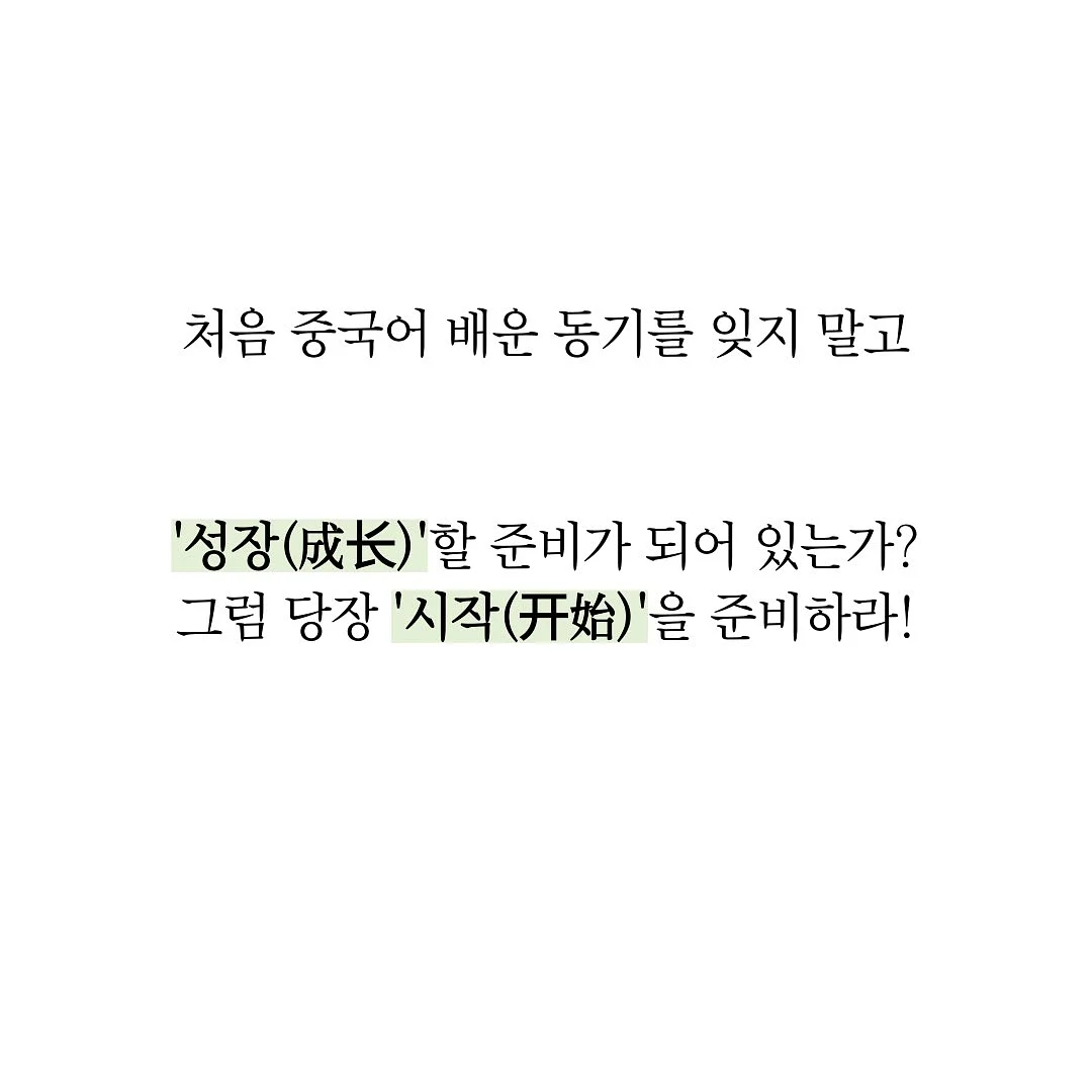 두피 문신 11