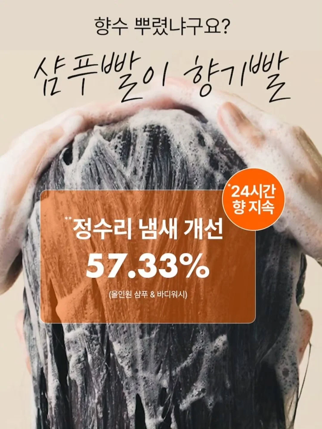 올포홈 로고 테리빕 15