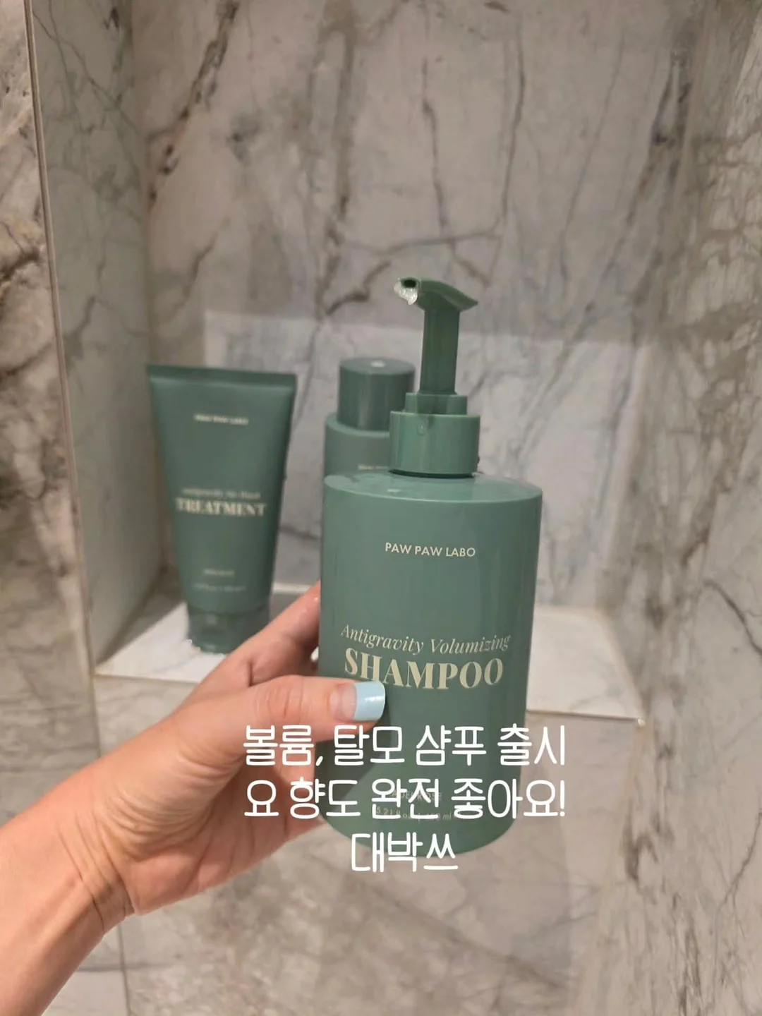 올포홈 로고 테리빕 4