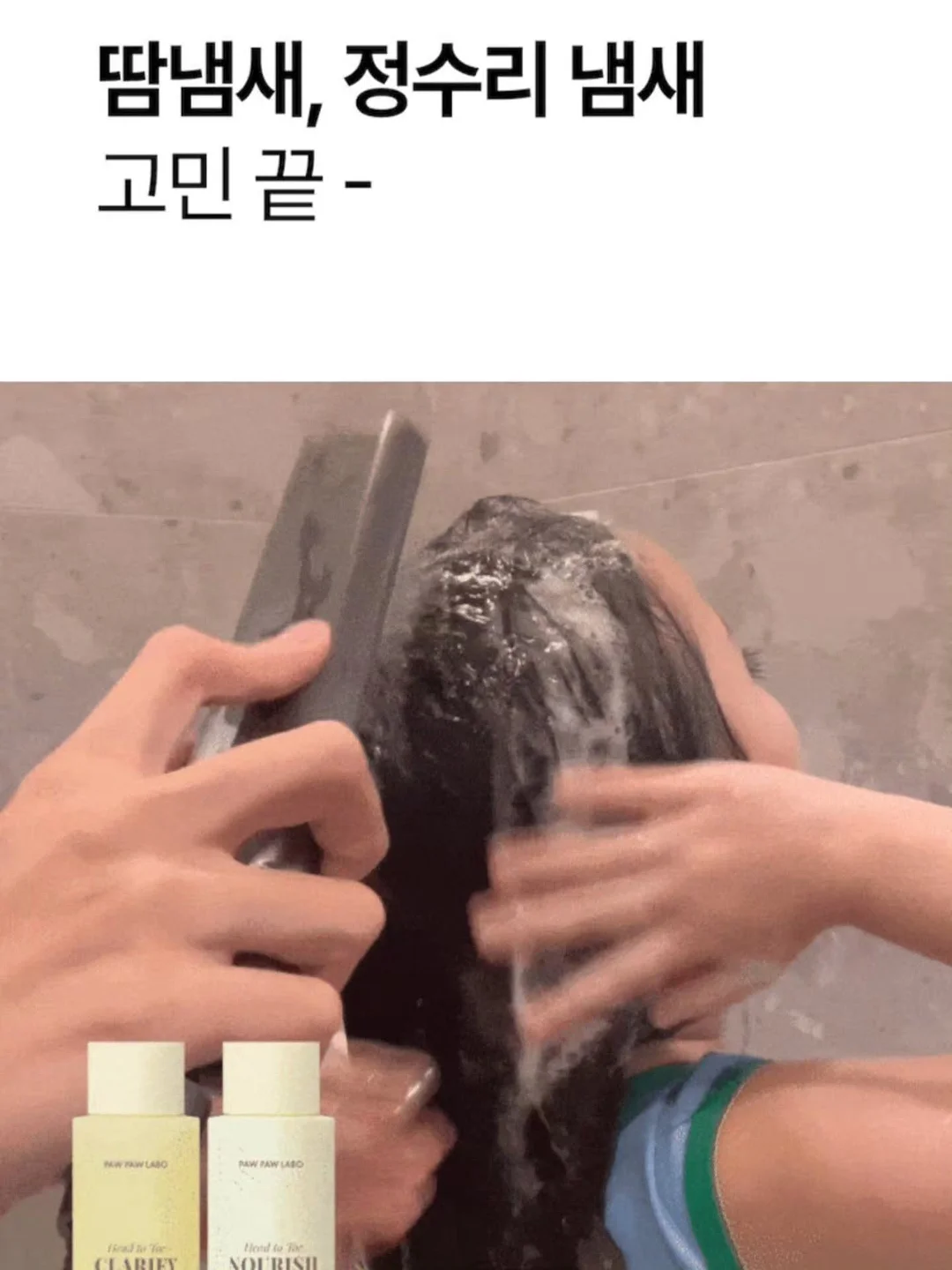 올포홈 로고 테리빕 9