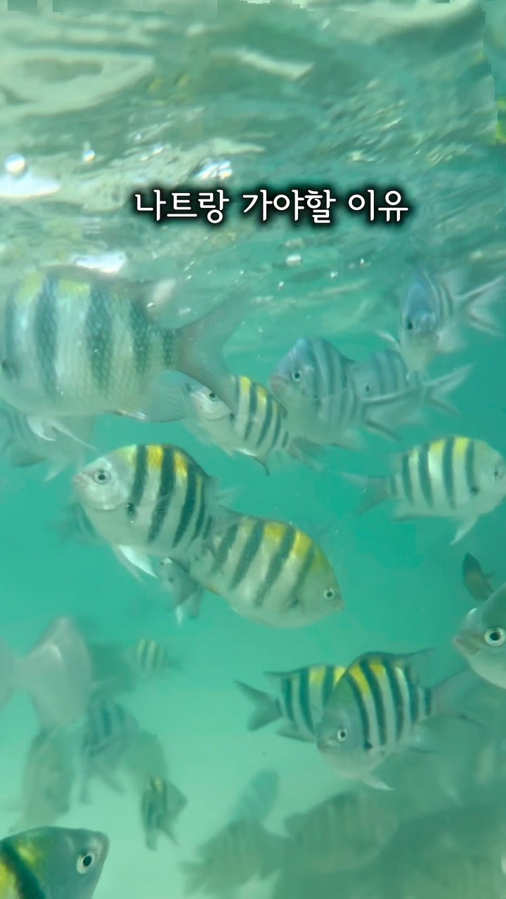 고창 수박