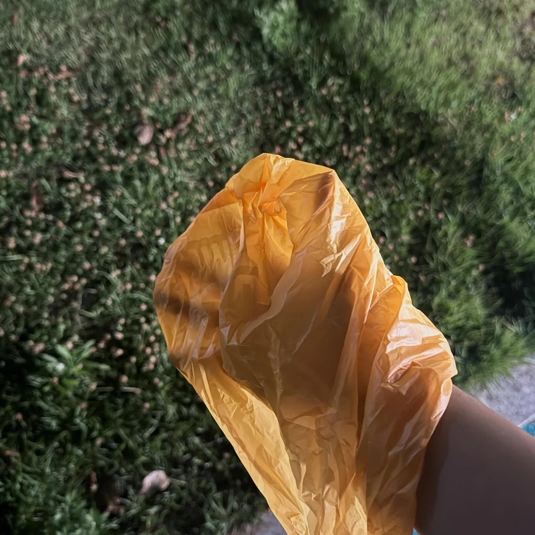 콩 접시 6