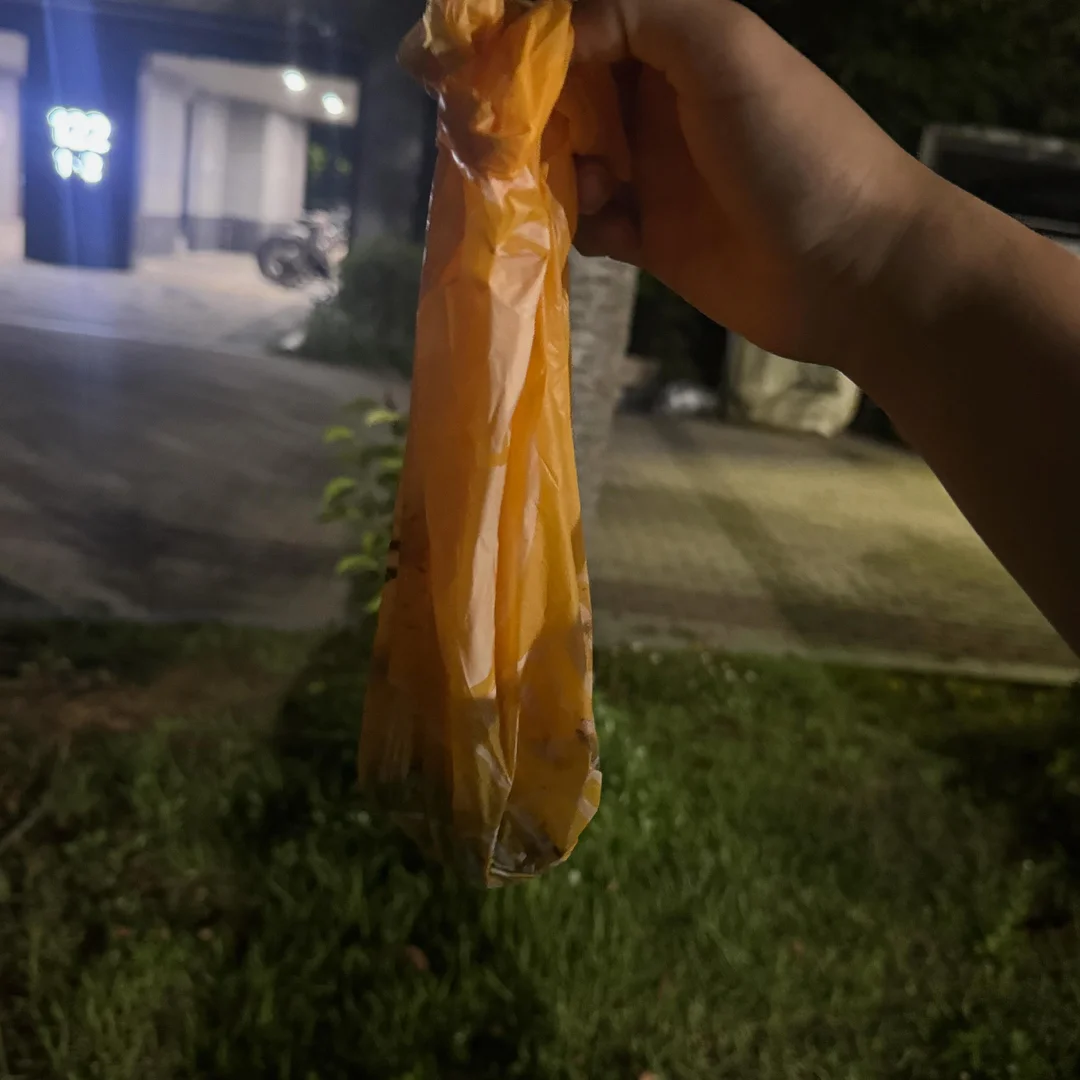 콩 접시 8