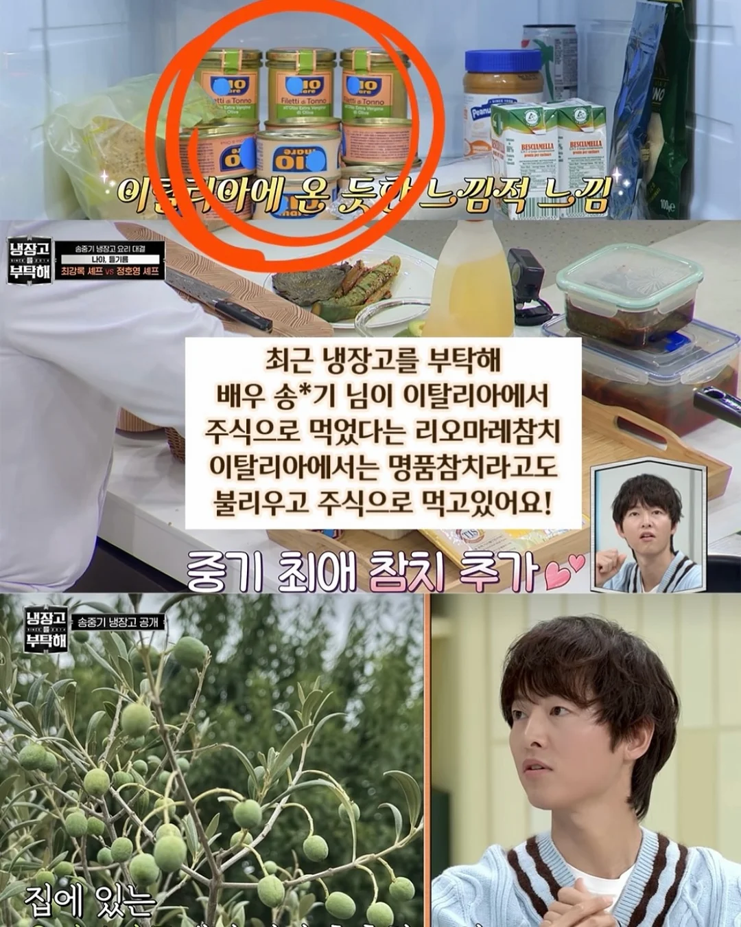 폴로 그린 카라 긴팔티 12