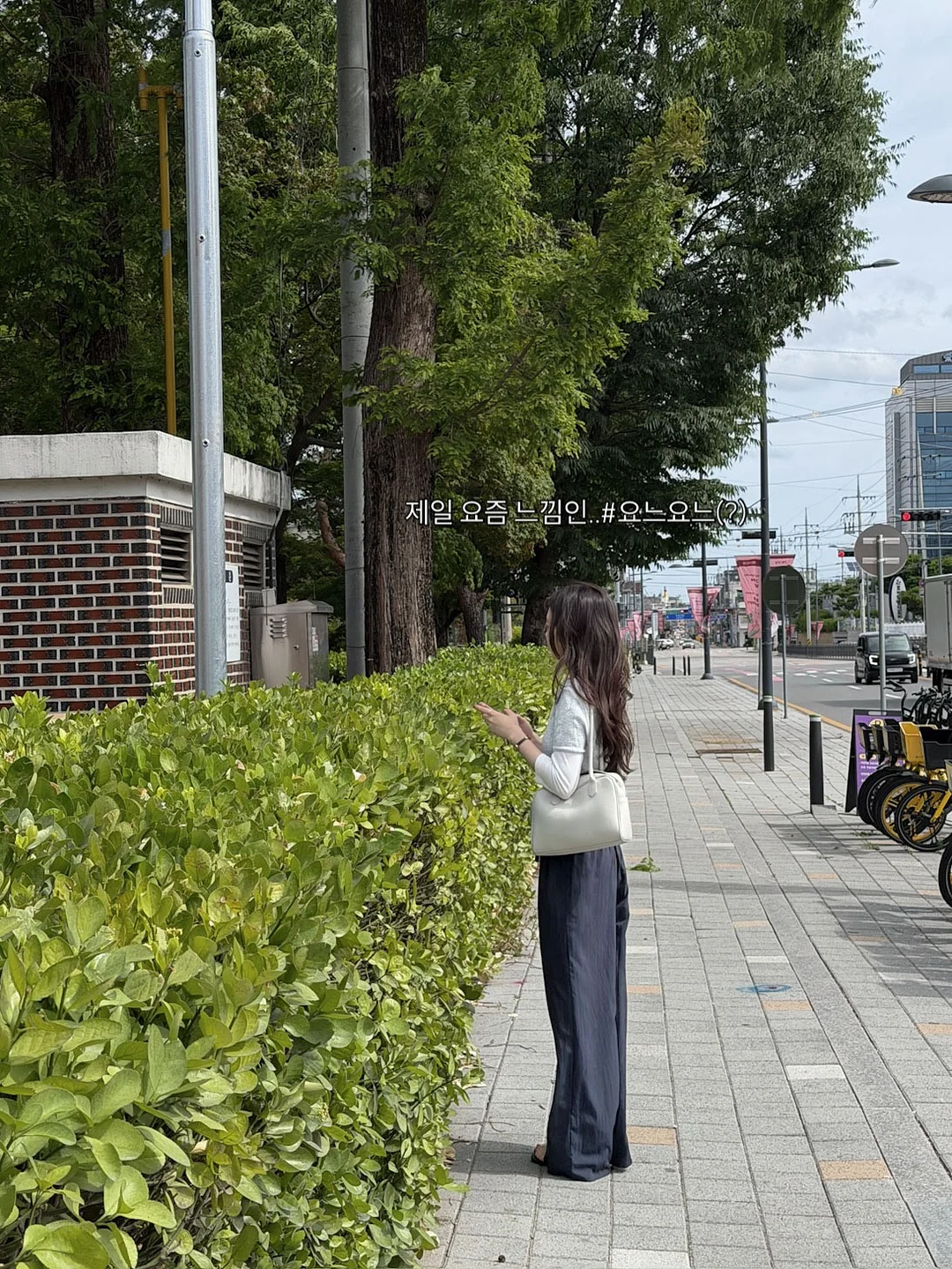 케이터링 도시락 17