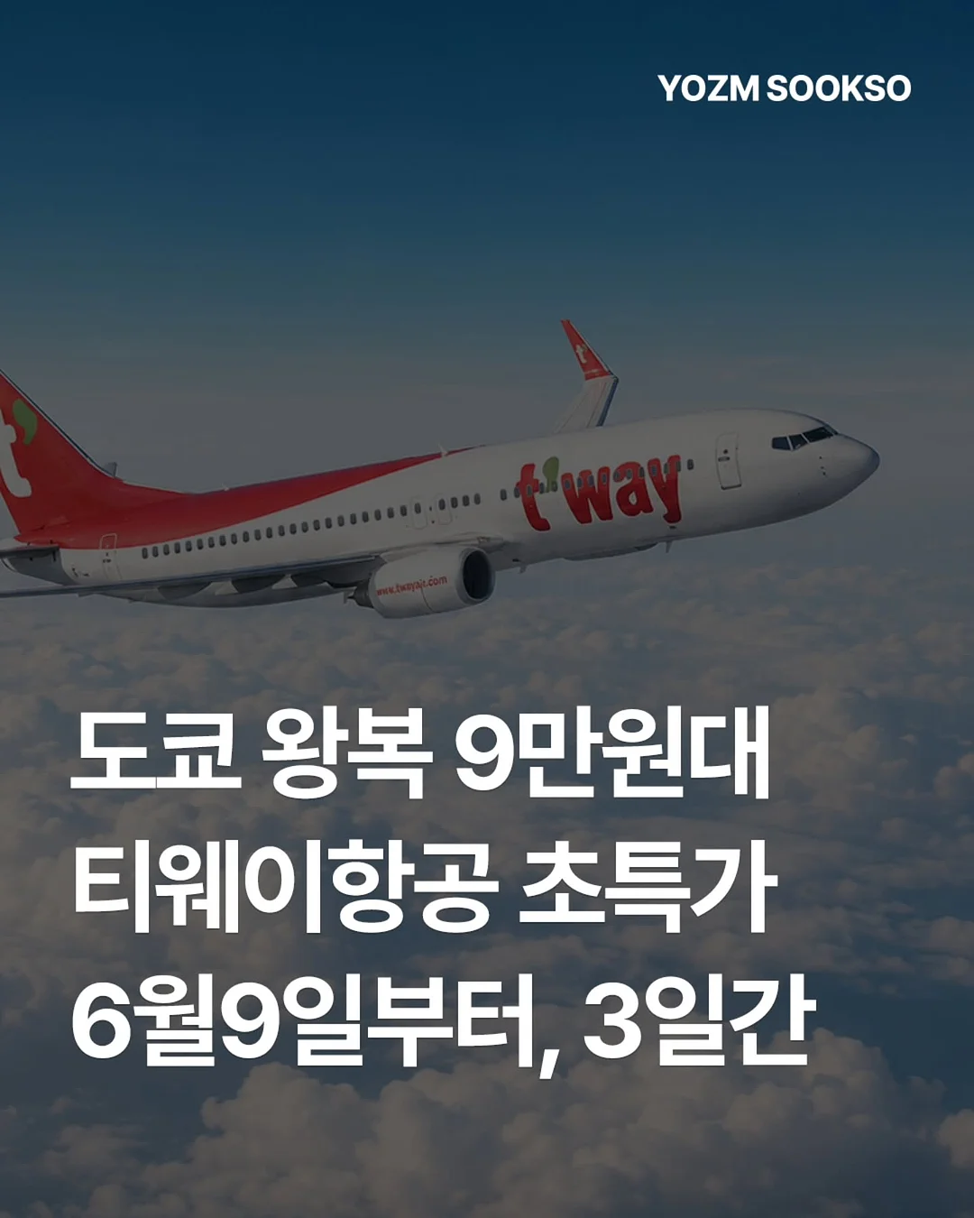 루사스 포션 페타 치즈