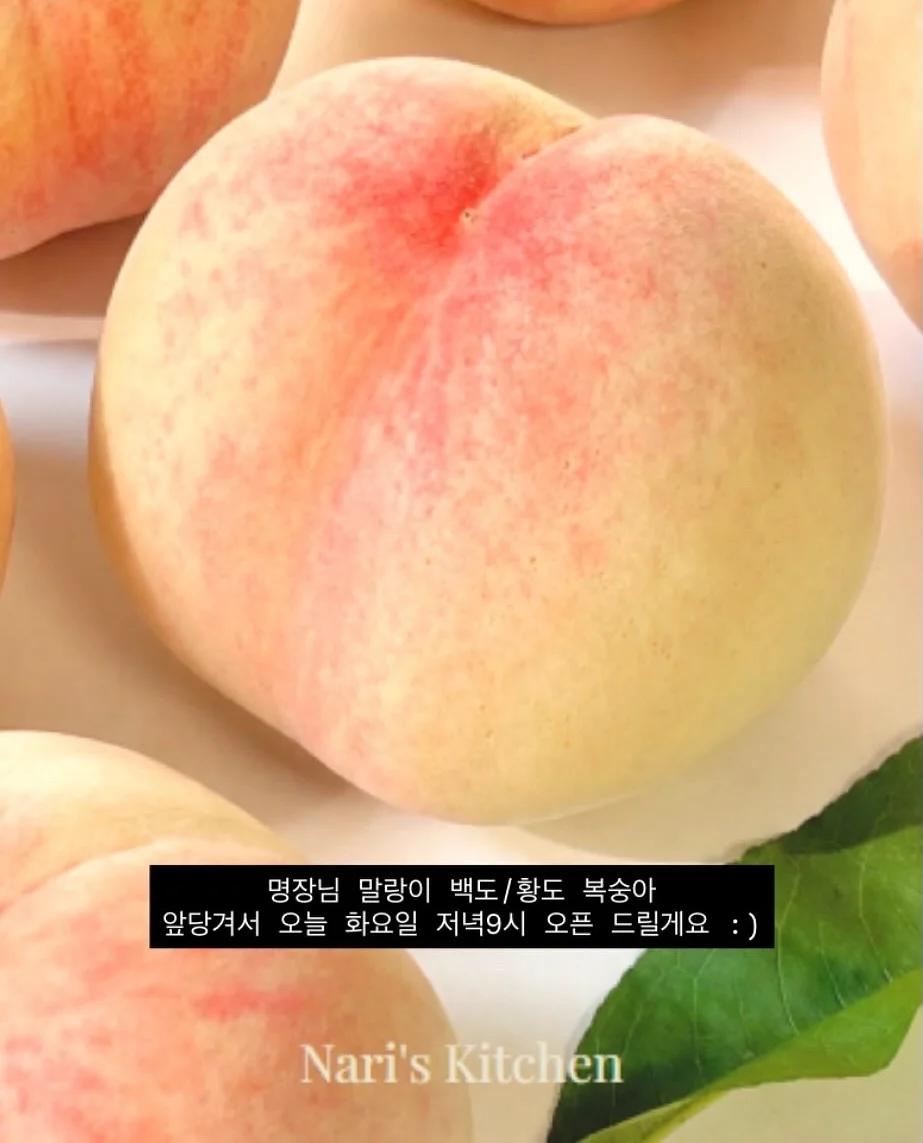 카네이션 가랜드 1