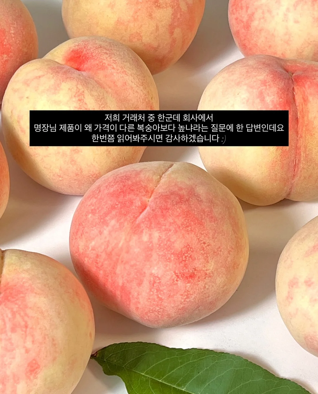 카네이션 가랜드 3