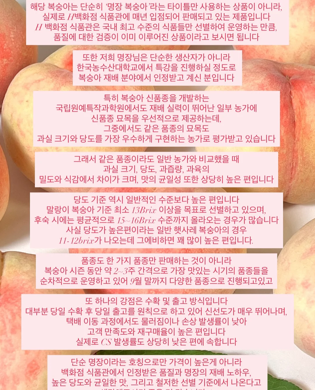 카네이션 가랜드 4