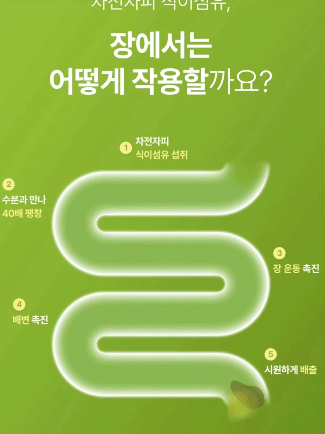 자동 우산 11