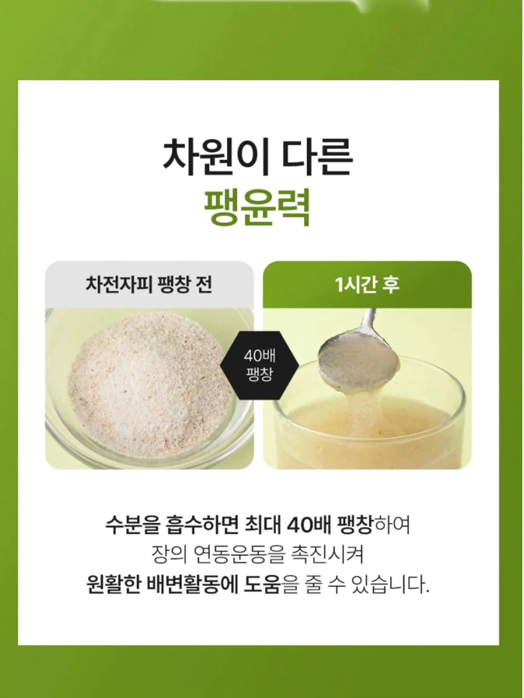 자동 우산 12