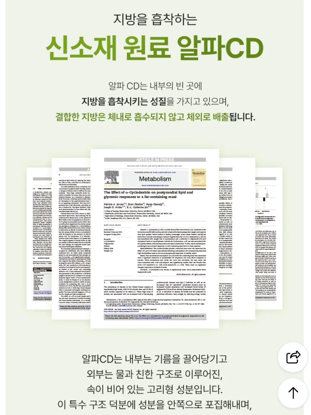 자동 우산 13