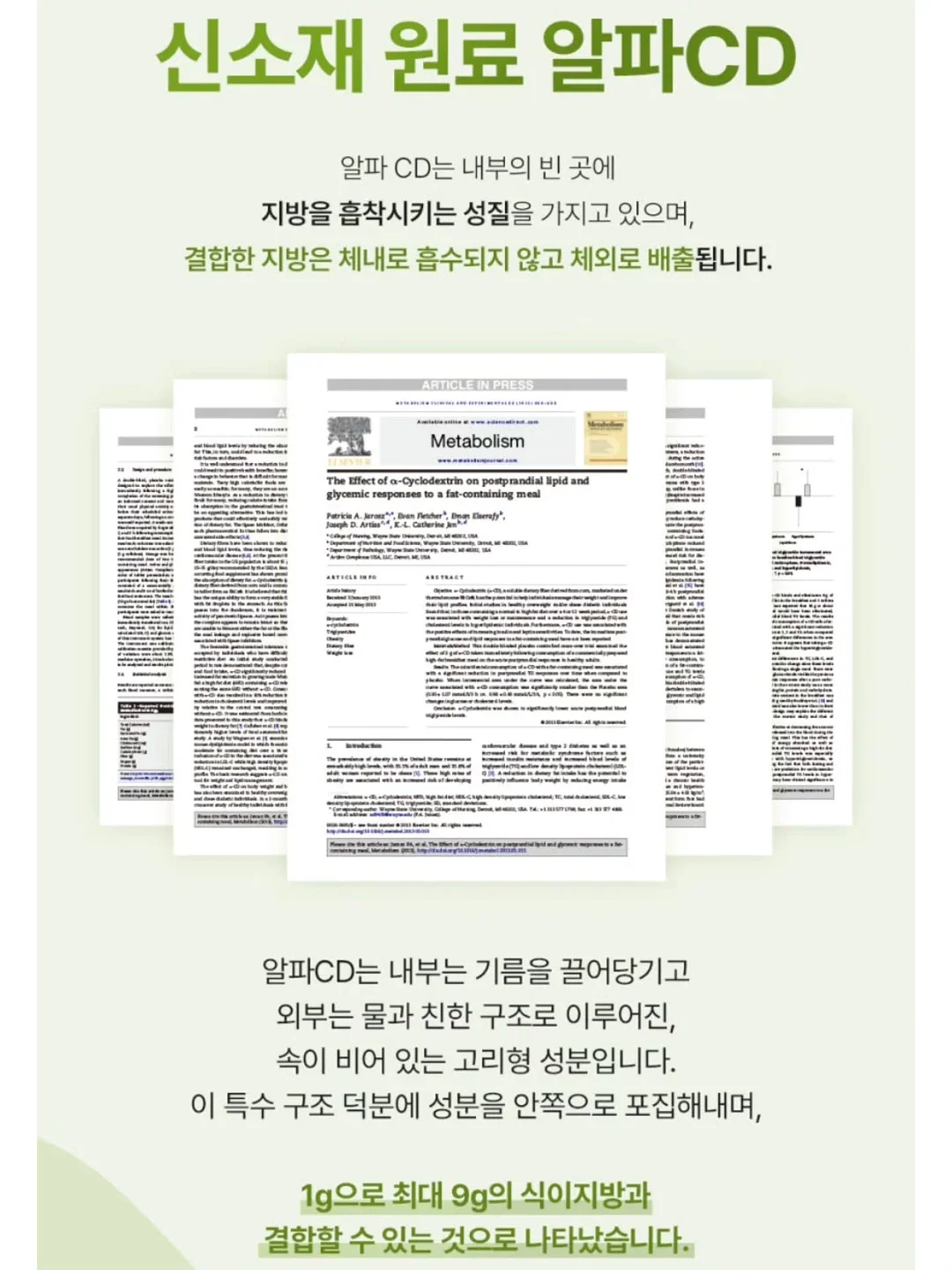 자동 우산 14