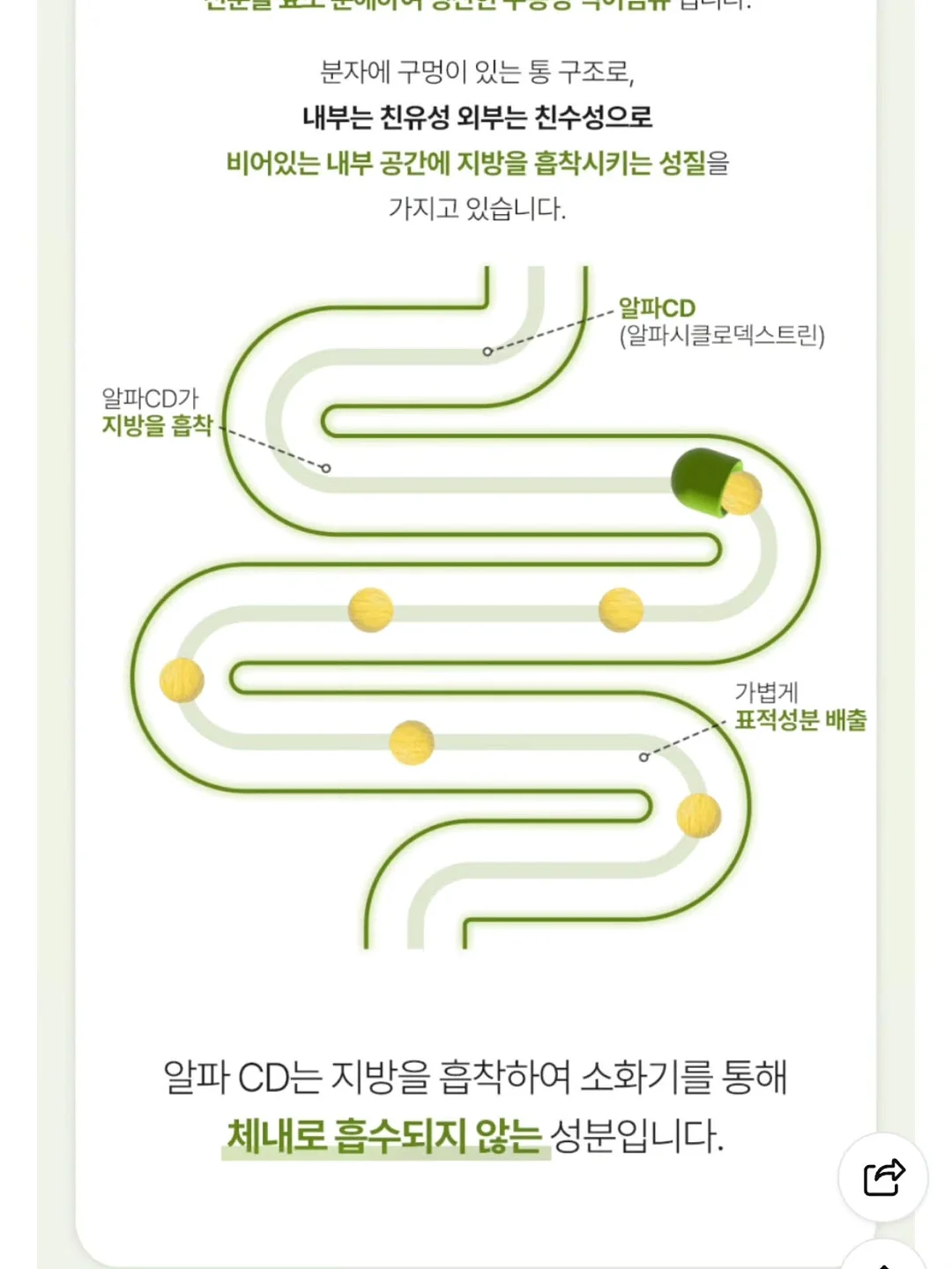 자동 우산 16