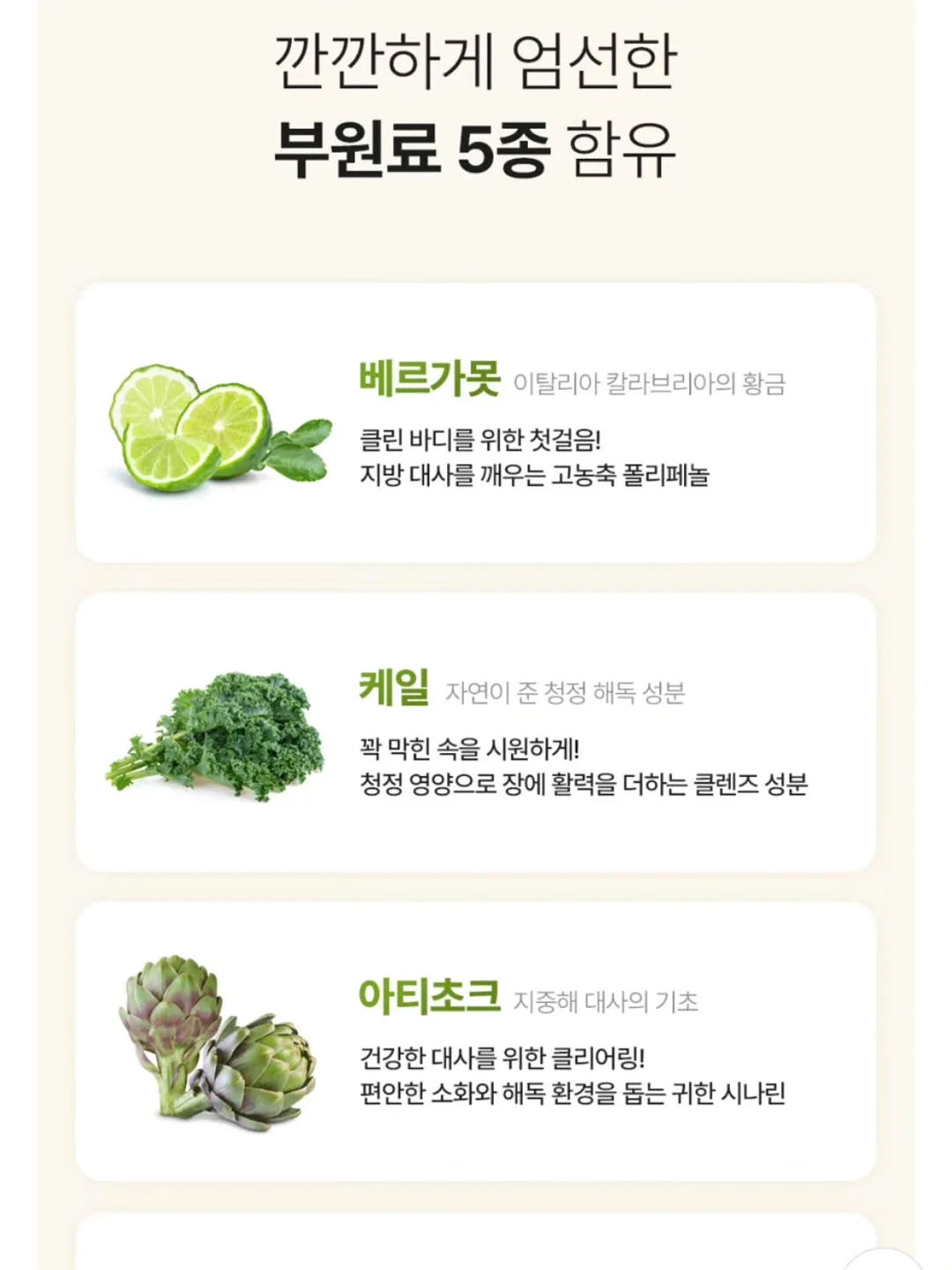 자동 우산 18