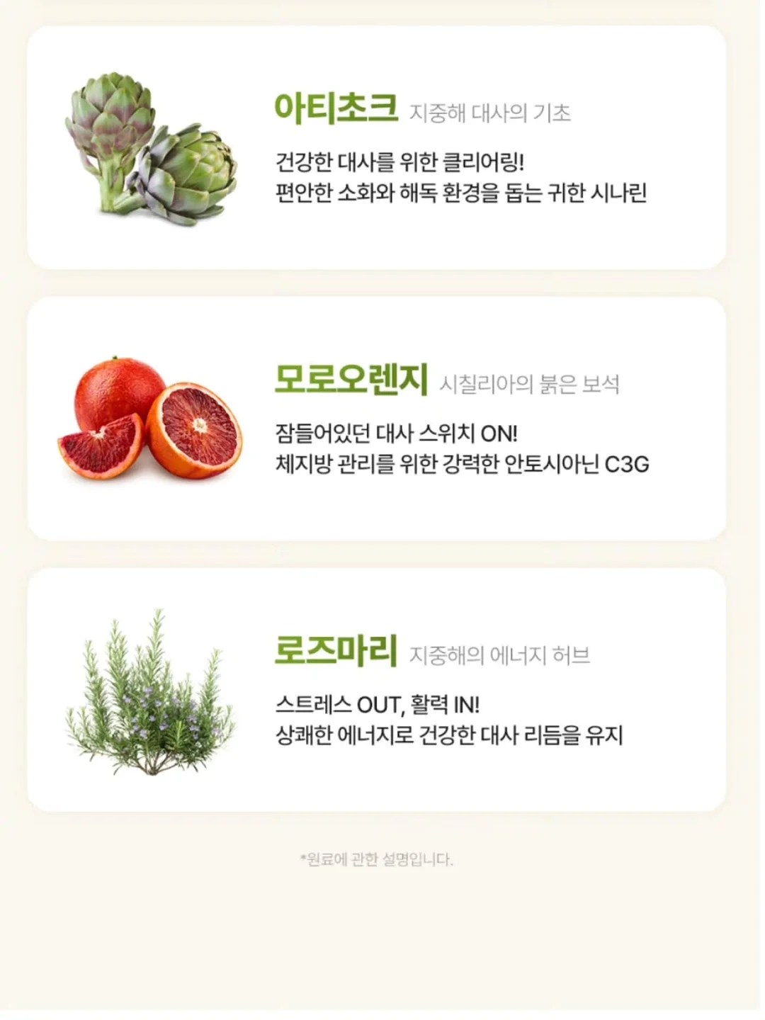자동 우산 19