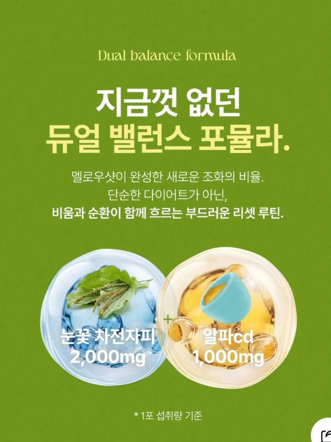 자동 우산 5