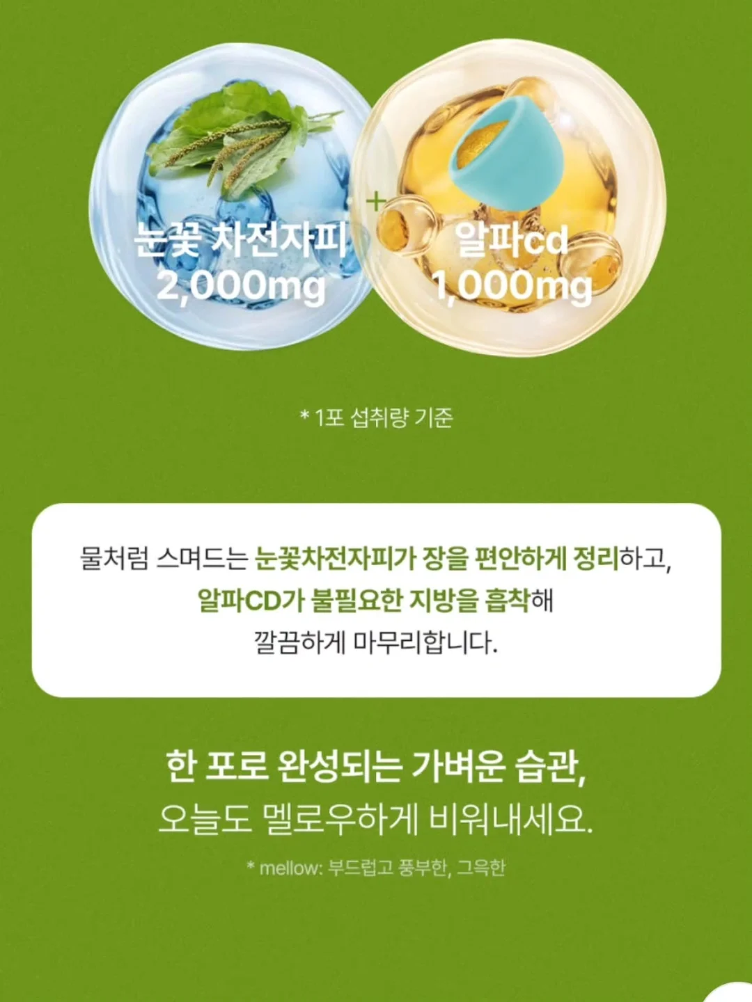 자동 우산 6