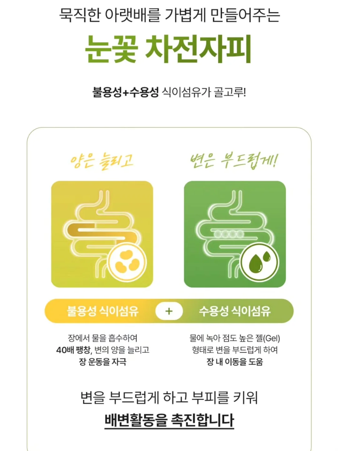자동 우산 10