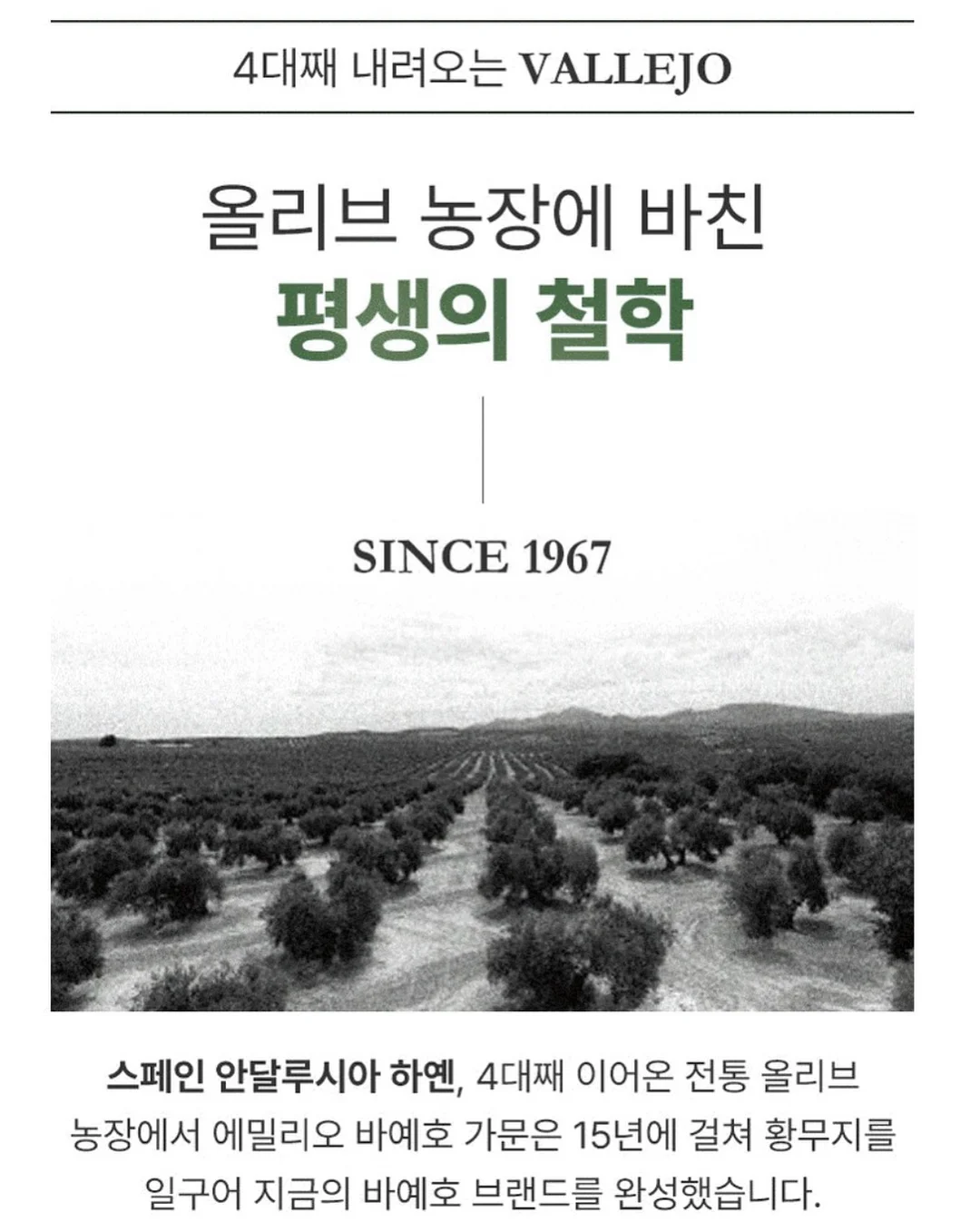 오은환 작가 인터뷰 14