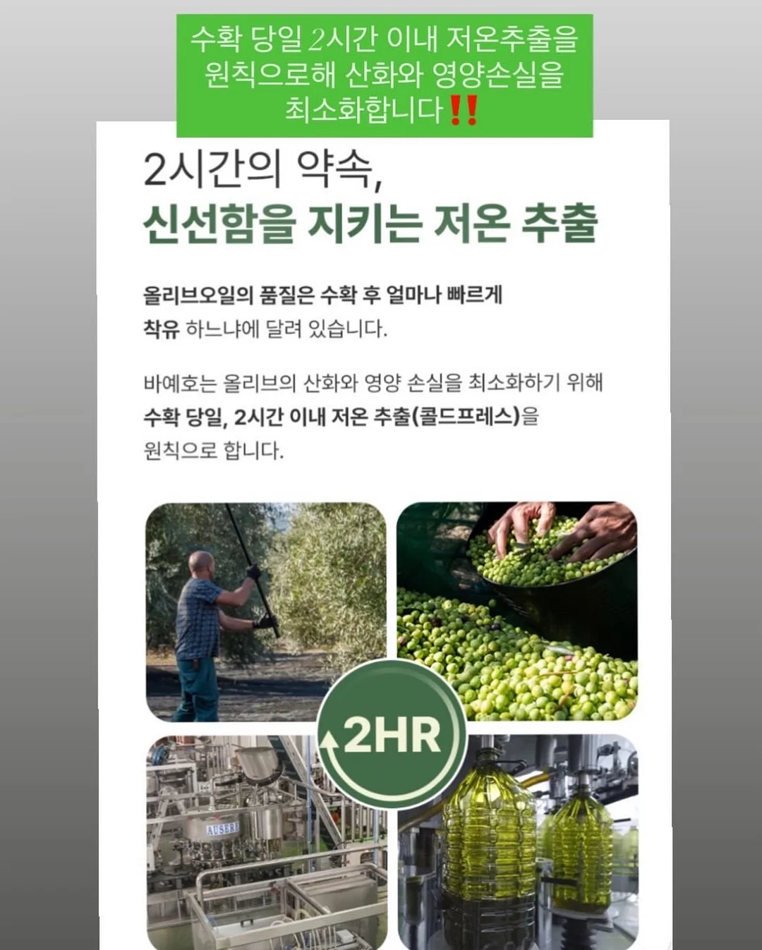 오은환 작가 인터뷰 8