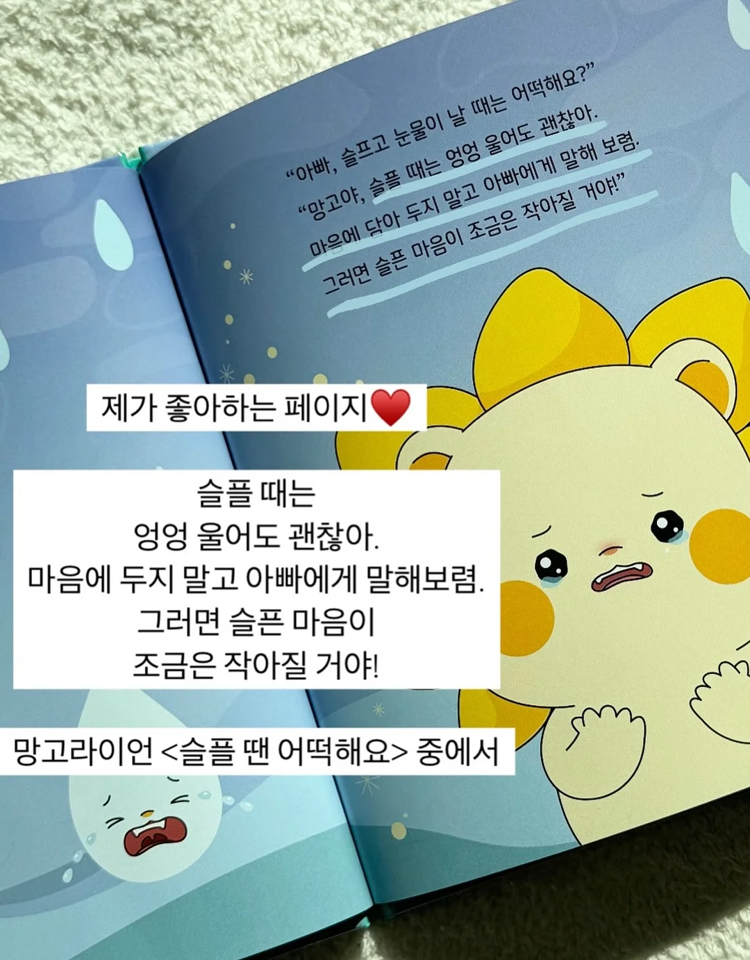 찐티보리&찐티옥수수 13