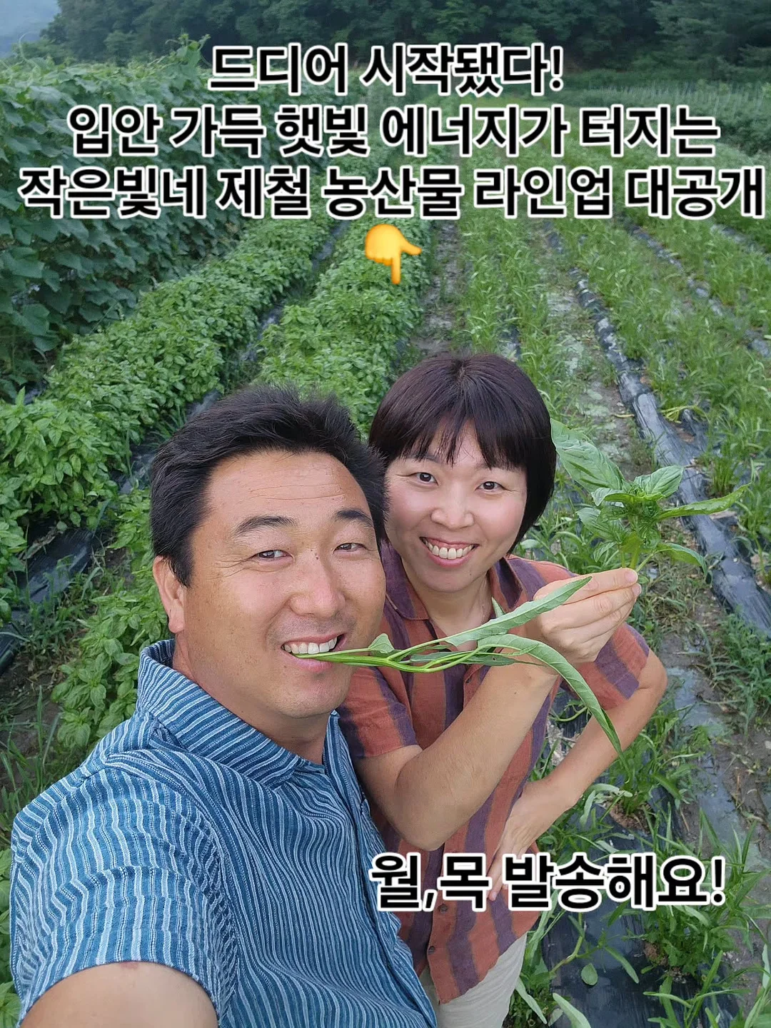 코 실리프팅 1