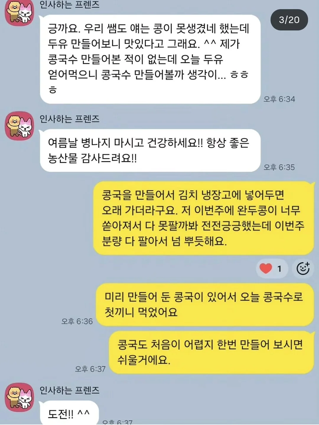 코 실리프팅 19
