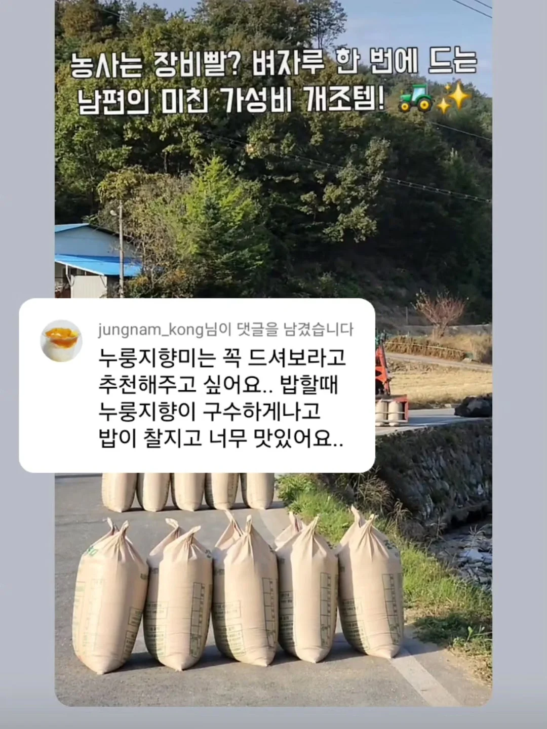 코 실리프팅 9