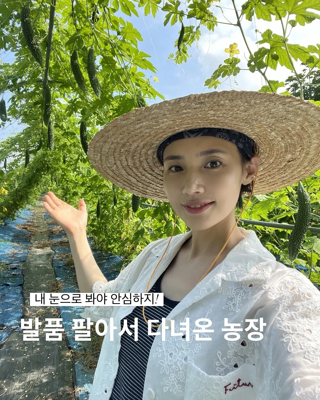 마우스 자료 5