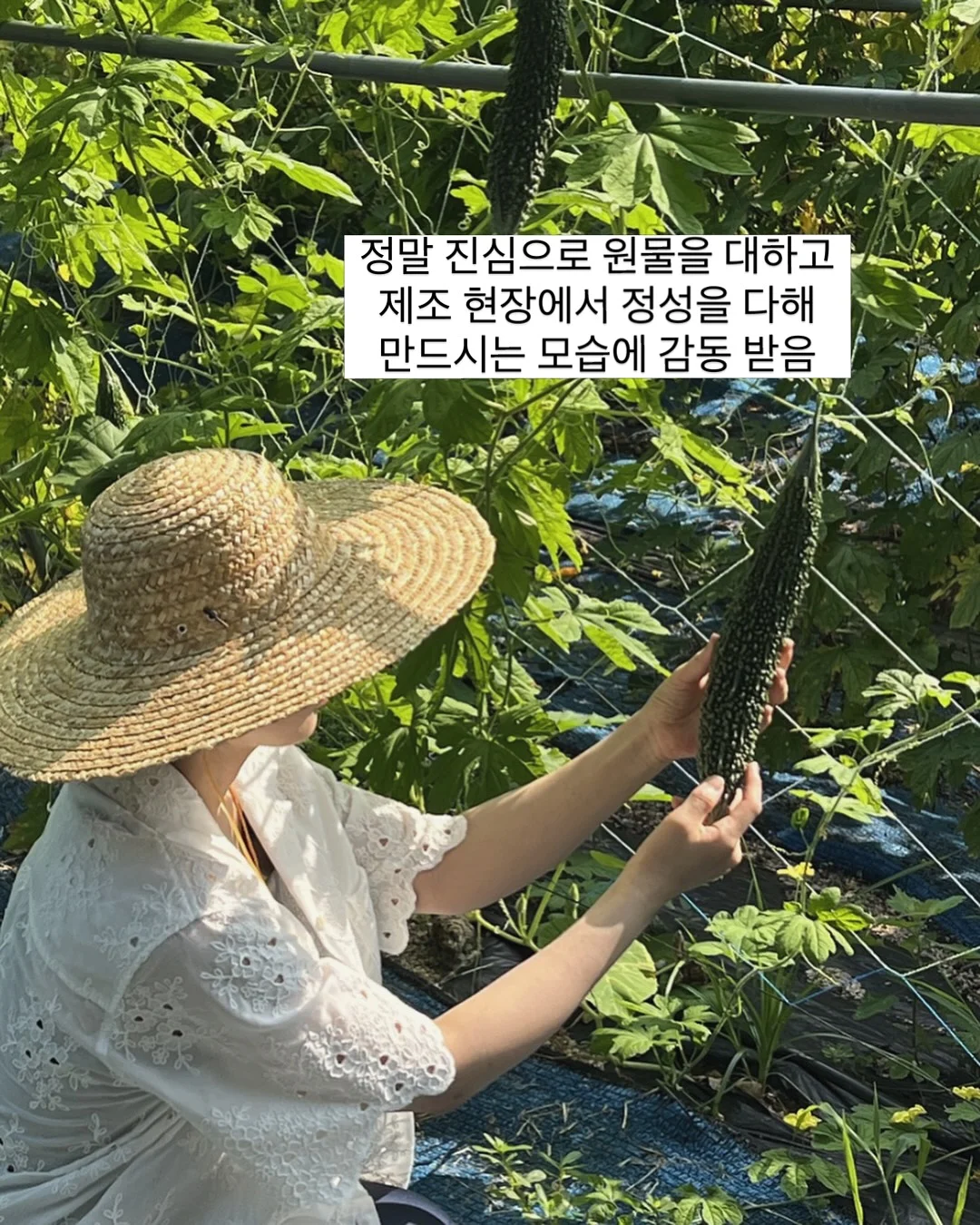 마우스 자료 8