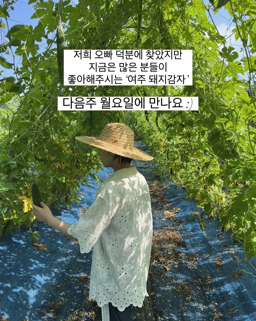 마우스 자료 9